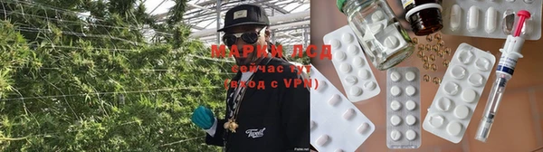 эйфоретик Болотное