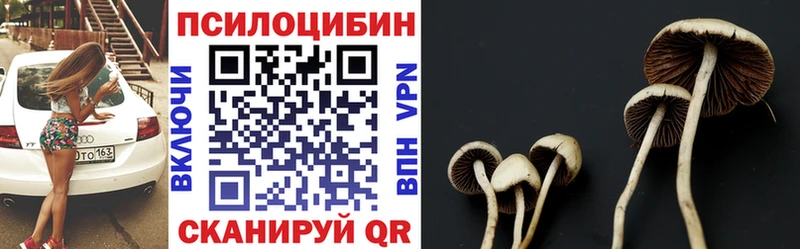 Галлюциногенные грибы Psilocybe Нерехта